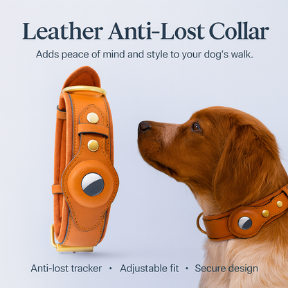 Leather Anti-Lost Dog Collar